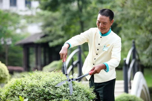 揭秘碧桂园物业“保洁魔术” 从37元到170元的品质飞跃